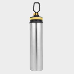 850 ml Steel Bottle 2.5 X 11.5 in. (Pack of 1)