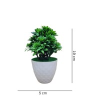 Hitech Artificial Green Bonsai with Pot for Home, Garden and Office Decor