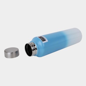 1 L Stainless Steel Bottle, 7 X 27 cm (Pack of 1)