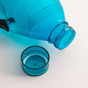 Reusable Large Capacity Water Bottle with Handle, Durable Plastic Drinking Bottle, Blue (Set of 2) (Blue)