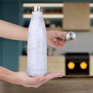 500 ml Steel Bottle 2.6 X 10.5 in. (Pack of 1)