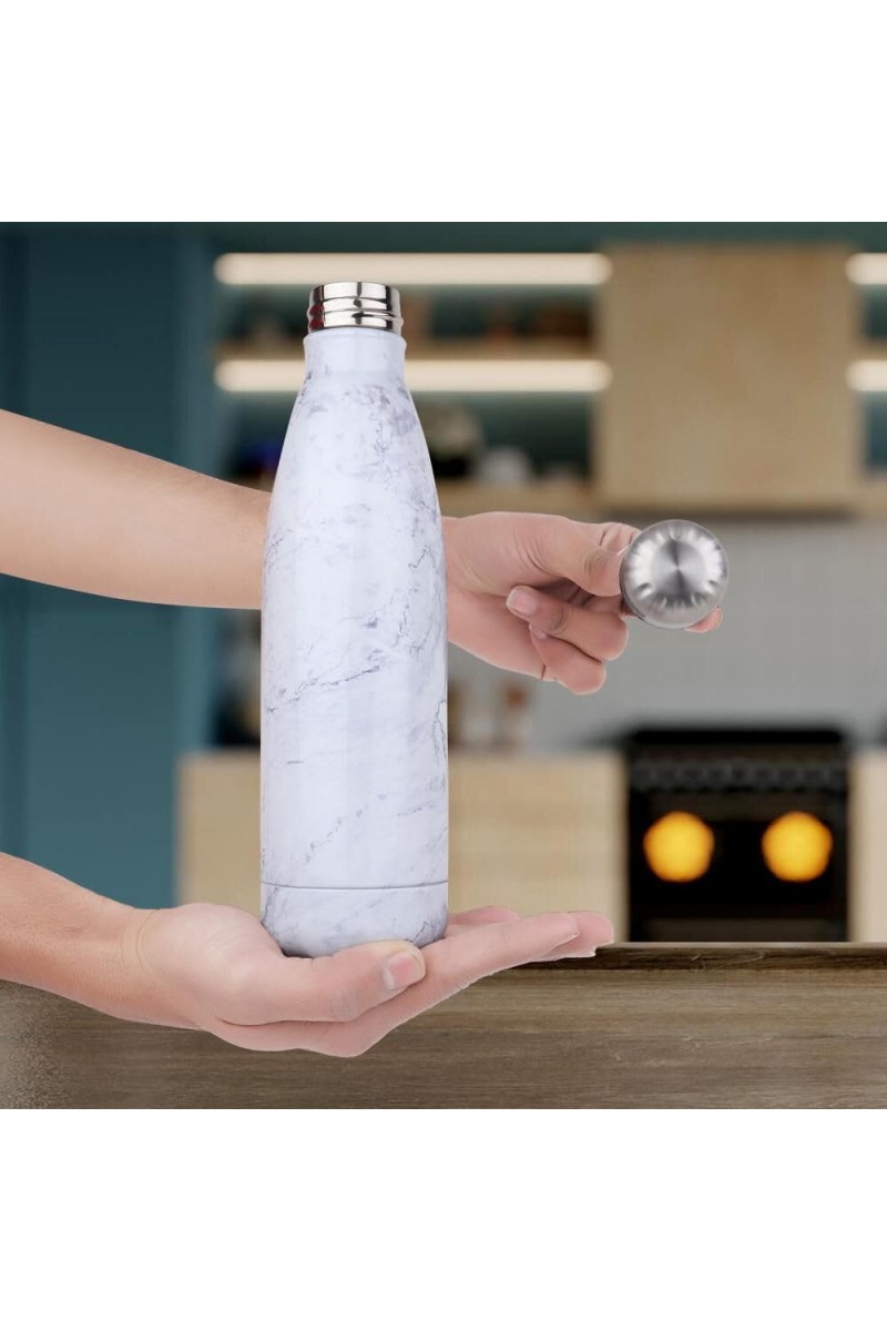 500 ml Steel Bottle 2.6 X 10.5 in. (Pack of 1)
