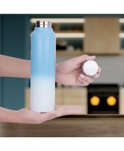 1 L Stainless Steel Bottle, 7 X 27 cm (Pack of 1)