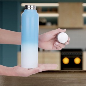 1 L Stainless Steel Bottle, 7 X 27 cm (Pack of 1)