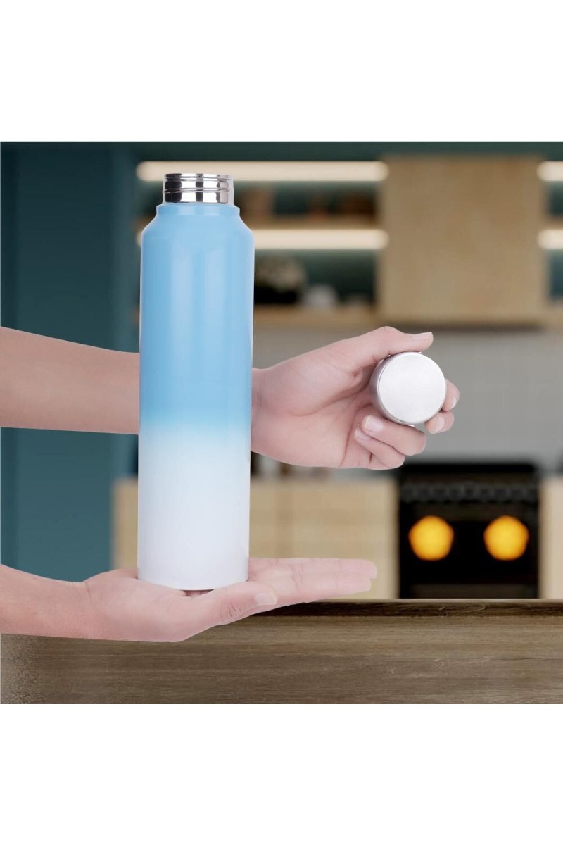 1 L Stainless Steel Bottle, 7 X 27 cm (Pack of 1)