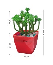 HiTechMart Artificial Succulent Plant in Red Pot – Lifelike Decorative Faux Greenery with Vibrant Pebbles for Home, Office, and Table Decor HiTechMart Artificial Succulent Plant in Red Pot – Lifelike Decorative Faux Greenery with Vibrant Pebbles for Home, Office, and Table Decor