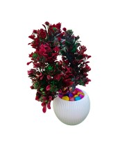 HI TECH Sales Artificial Bonsai Plant with Decorative Pot – Tree with Red & Green Leaves | Home & Office Decor, Tabletop Indoor Plant HI TECH Sales Artificial Bonsai Plant with Decorative Pot – Tree with Red & Green Leaves | Home & Office Decor, Tabletop Indoor Plant