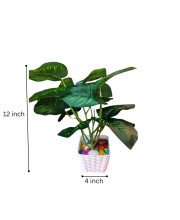 Artificial Indoor Leaf Plant with Pot – Realistic Faux Greenery, No Maintenance, Perfect for Home, Office or Shelf Décoration.