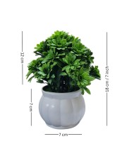 HiTechMart Artificial Green Bush Plant in White Ceramic Vase – Lifelike Faux Desk & Tabletop Plant for Home, Office & Indoor Decor HiTechMart Artificial Green Bush Plant in White Ceramic Vase – Lifelike Faux Desk & Tabletop Plant for Home, Office & Indoor Decor