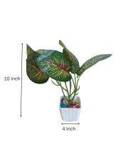 Artificial Indoor Leaf Plant with Pot – Realistic Faux Greenery, No Maintenance, Perfect for Home, Office or Shelf Décoration.