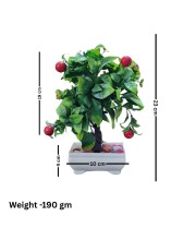 HiTechMart Artificial Bonsai Tree with Red Fruits – Lifelike Decorative Miniature Potted Plant for Home & Office Décor, Faux Greenery with Ceramic Planter HiTechMart Artificial Bonsai Tree with Red Fruits – Lifelike Decorative Miniature Potted Plant for Home & Office Décor, Faux Greenery with Ceramic Planter