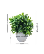 HiTechMart Artificial Green Boxwood Plant in White Ceramic Vase – Realistic Faux Desk & Tabletop Plant for Home, Office & Indoor Décor HiTechMart Artificial Green Boxwood Plant in White Ceramic Vase – Realistic Faux Desk & Tabletop Plant for Home, Office & Indoor Décor