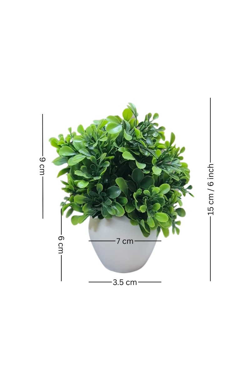 HiTechMart Artificial Green Boxwood Plant in White Ceramic Vase – Realistic Faux Desk & Tabletop Plant for Home, Office & Indoor Décor
