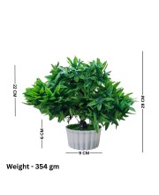 HiTechMart Artificial Green Bonsai Tree – Lifelike Faux Miniature Plant in White Pot for Home & Office Décor, Maintenance-Free Decorative Greenery HiTechMart Artificial Green Bonsai Tree – Lifelike Faux Miniature Plant in White Pot for Home & Office Décor, Maintenance-Free Decorative Greenery