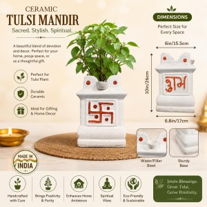 Handcrafted Ceramic White Tulsi Mandir with Auspicious Swastik Design | Traditional Tulsi Planter for Home, Balcony & Puja Room| Design May Vary | Securely Packed in a Wooden Box for Safe Delivery Handcrafted Ceramic White Tulsi Mandir with Auspicious Swastik Design | Traditional Tulsi Planter for Home, Balcony & Puja Room| Design May Vary | Securely Packed in a Wooden Box for Safe Delivery