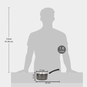 1.6 L Steel Saucepan 1 7 cm Dia. (Pack of 1)