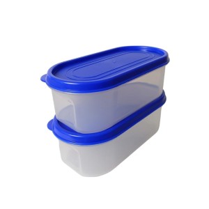 Airtight Kitchen Storage Container, 600ml Capacity, Blue Lid (Set of 2) (7 X 2.5)