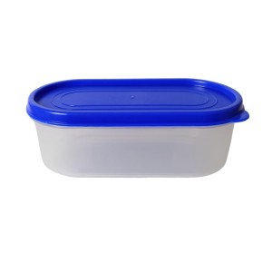 Airtight Kitchen Storage Container, 600ml Capacity, Blue Lid (Set of 2) (7 X 2.5)