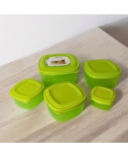 5-Piece Transparent Food Storage Container Set with Airtight Lids – BPA-Free Freezer and Fridge Containers for Vegetables and More