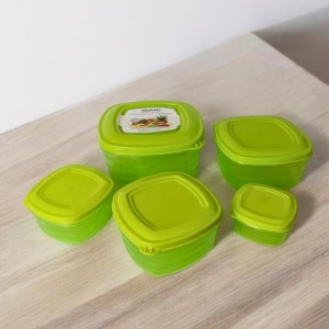 5-Piece Transparent Food Storage Container Set with Airtight Lids – BPA-Free Freezer and Fridge Containers for Vegetables and More