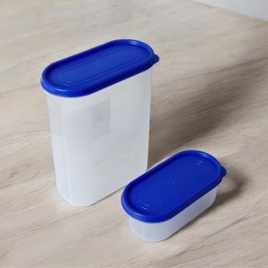 Airtight Kitchen Storage Container, 600ml Capacity, Blue Lid (Set of 2) (7 X 9)