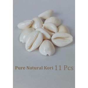Hitech Sales Natural White Cowrie-Kaudi-Kawri-Kori - Cowry- Sea Shell for Puja and Multi Purpose Uses (11)