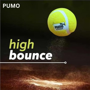 Hitech Sales - Pumo Cricket Tennis Ball | Lightweight Yellow Tennis Ball for Cricket Practice & Play | Durable and High Bounce Ball for Indoor & Outdoor Use (Medium, 2, Count)