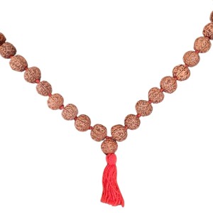 HiTechMart 5 Mukhi Rudraksha Mala Hindu Prayer Meditation Rosary with Red Tassel
