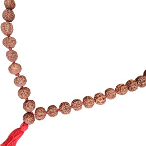 HiTechMart 5 Mukhi Rudraksha Mala Hindu Prayer Meditation Rosary with Red Tassel