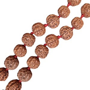 HiTechMart 5 Mukhi Rudraksha Mala Hindu Prayer Meditation Rosary with Red Tassel