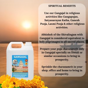 100% Organic, Pure & Natural Gangajal from the Dakshineswar River Ganga, Authentic,Spiritual and Religious for Puja Purposes, Daily Use, 2 Liter Jar