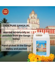 100% Organic, Pure & Natural Gangajal from the Dakshineswar River Ganga, Authentic,Spiritual and Religious for Puja Purposes, Daily Use, 2 Liter Jar