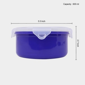 600 ml Stainless Steel Container, 5.5 X 2.7 inch (Pack of 1)