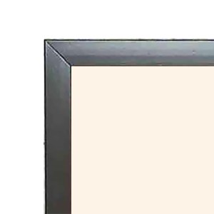 Animals and birds in rainbow Photo Frame Funny Animal and Bird Cartoon Art, Black color, 17x21 Inch