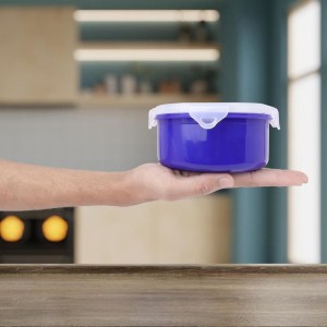 600 ml Stainless Steel Container, 5.5 X 2.7 inch (Pack of 1)