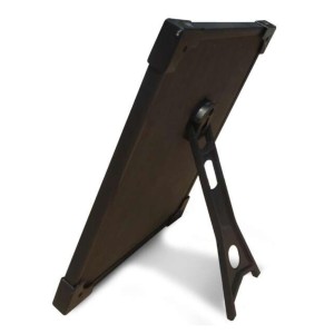 Meera bai Laminated Photo - 9x11 Inches, Divine Blessings for Home & Office and Temple Decoration