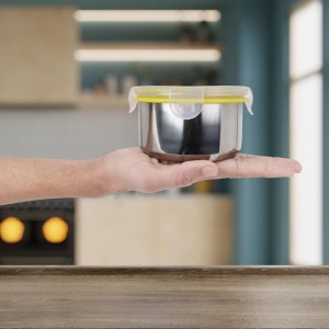 550 ml Stainless Steel Container, 4.7 X 2.7 inch (Pack of 1)