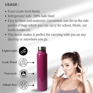Hi Tech Sales Double Layer Lunch Box with Handle Insulated Food Storage Container for Home, Office, or Travel – Color May Vary and Stainless Steel Water Bottle 1000 ml Free