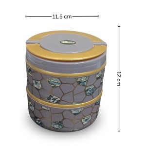 HiTechMart Stylish 2-Tier Lunch Box with Handle | Insulated, Leak-Proof Food Storage Container | BPA-Free, Portable Tiffin for Office, School, or Travel (Multicolor 2)