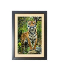 The tiger in the forest Photo Frame Funny Animal and Bird Cartoon Art, Black color, 15x19 Inch