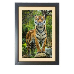 The tiger in the forest Photo Frame Funny Animal and Bird Cartoon Art, Black color, 15x19 Inch
