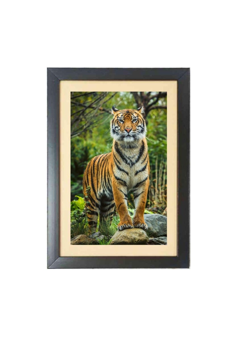 The tiger in the forest Photo Frame Funny Animal and Bird Cartoon Art, Black color, 15x19 Inch