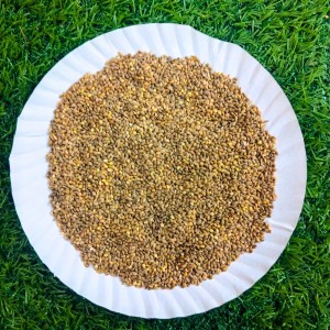 HiTechMart Natural Canary Seeds for Birds | Protein & Nutrient Rich-Bird Food | Ideal for Finches, Budgies, Parrots, Canaries, & Wild Birds