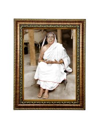 HiTech SalesMaa Devi Sarada ji photo frame for wall hanging/gift/temple/puja room/home decor with PVC Frame & Front Face - Glass (12 x 10 in)