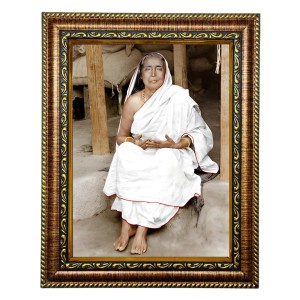 HiTech SalesMaa Devi Sarada ji photo frame for wall hanging/gift/temple/puja room/home decor with PVC Frame & Front Face - Glass (12 x 10 in)