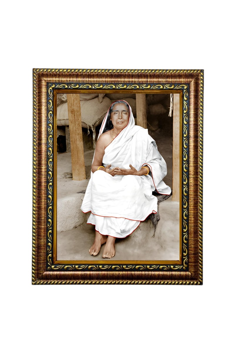 HiTech SalesMaa Devi Sarada ji photo frame for wall hanging/gift/temple/puja room/home decor with PVC Frame & Front Face - Glass (12 x 10 in)