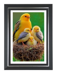 Yellow Canary Photo Wall & Table Frame | 14x18 Inch Black Designer | Perfect For Gifting & Home Decor (F9613)