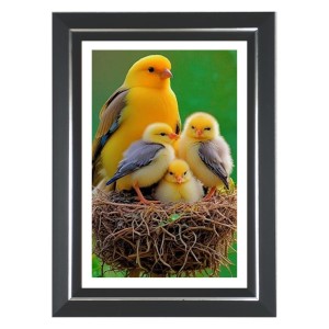 Yellow Canary Photo Wall & Table Frame | 14x18 Inch Black Designer | Perfect For Gifting & Home Decor (F9613) Yellow Canary Photo Wall & Table Frame | 14x18 Inch Black Designer | Perfect For Gifting & Home Decor (F9613)