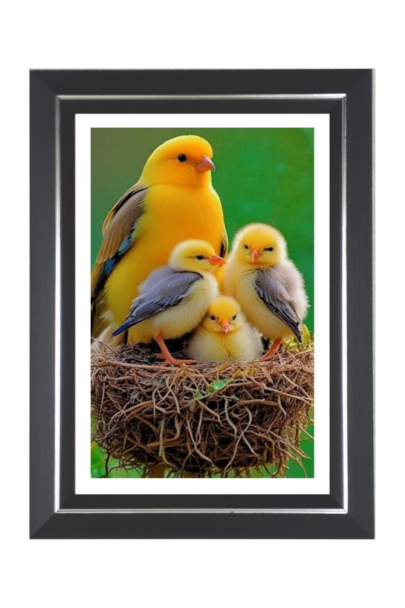 Yellow Canary Photo Wall & Table Frame | 14x18 Inch Black Designer | Perfect For Gifting & Home Decor (F9613)