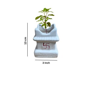HI TECH Sales Sacred Tulsi Plant in White Ceramic Tulsi Vrindavan Pot with Swastik Symbol – Ideal for Home Mandir, Pooja Decor & Gifting